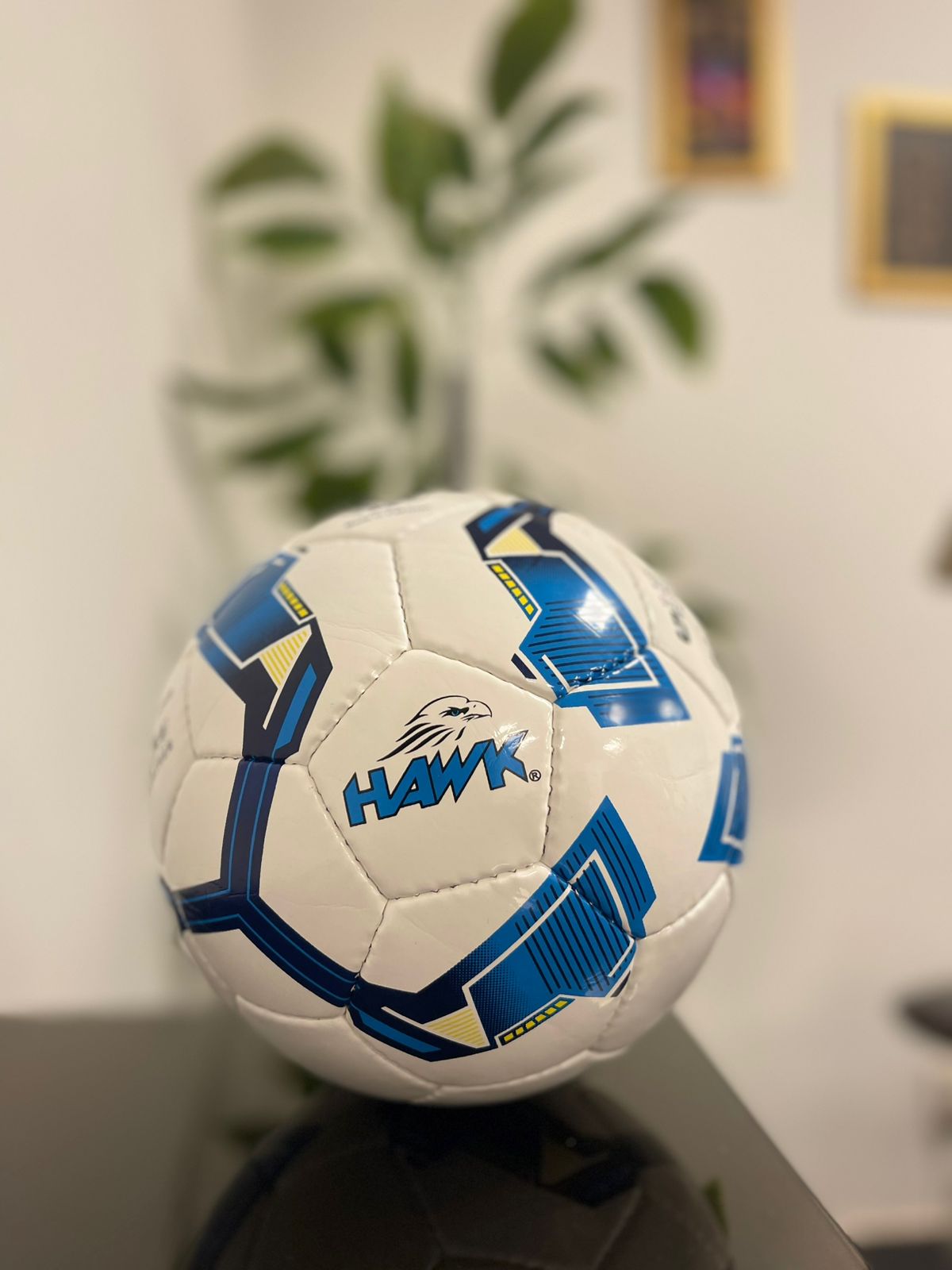 Premium Hand-Sewn Football | Japanese Microfiber PU | Hawk® Official Match Ball