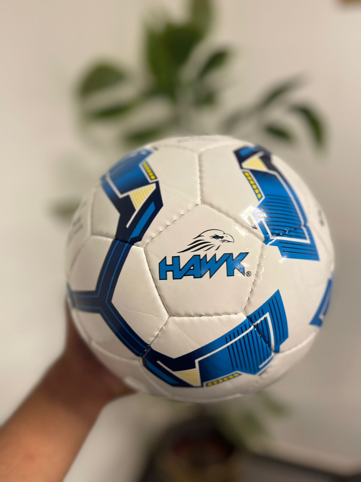 Premium Hand-Sewn Football | Japanese Microfiber PU | Hawk® Official Match Ball